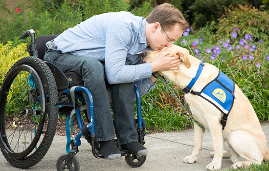 person in wheelchair leaning over to kiss Canine Companions service dogs head