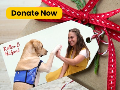 Gift wrapped with a red ribbon, featuring a tag showing a woman high-fiving a dog wearing a blue vest, with "Donate Now" button.