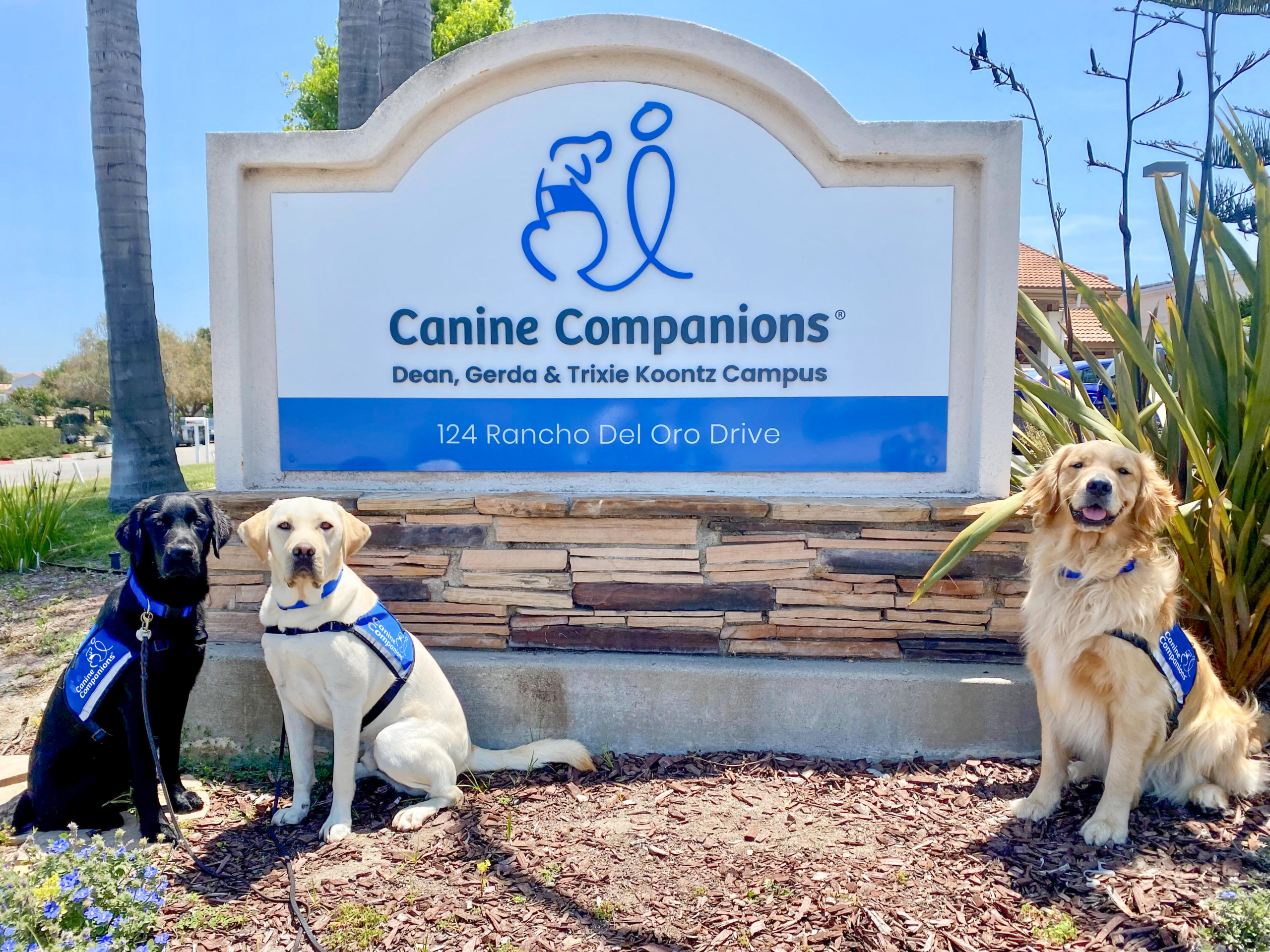 Canine Companions, Los Angeles Chargers Welcome Second Puppy - Canine  Companions