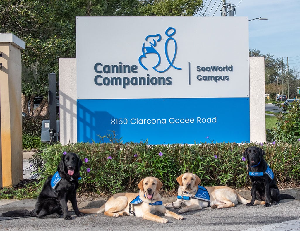 dogs in front of campus sign