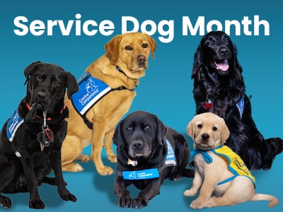 Group of service dogs with vests, text reads "Service Dog Month"