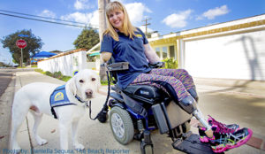 person in wheelchair with Canine Companions service dog
