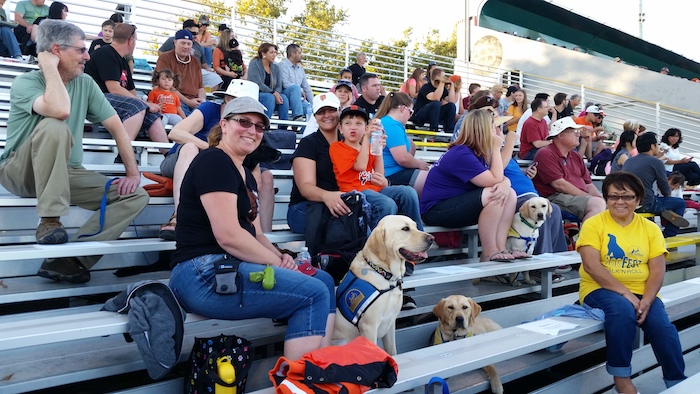 people and Canine Companions dogs on bleachers