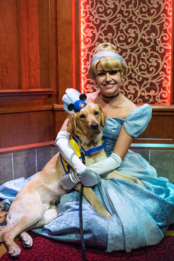 Disney princess sitting with Canine Companions puppy