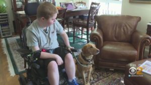 child in wheelchair with Canine Companions service dog sitting next to them