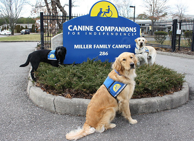 Contact the Northeast Region - Canine Companions