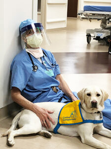 doctor sitting on floor with face mask and shield with a Canine Companions puppy laying next to them.