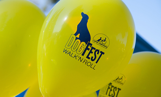 DogFest balloons