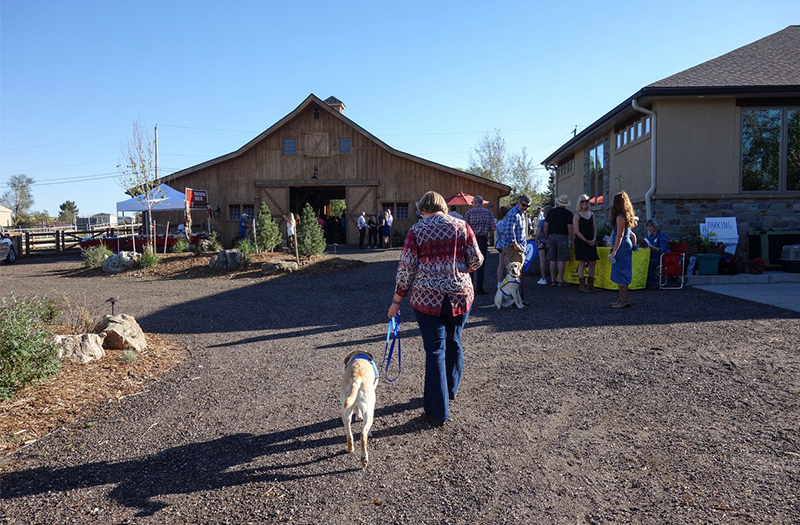 Woman walking towards barn with a Canine Companions dog following her