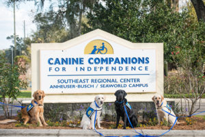 four Caine Companions service dogs sitting in front of Southeast campus sign