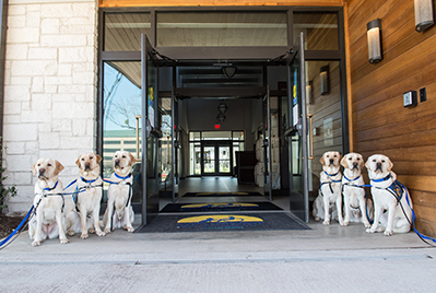 Canine Companions service dogs standing next to open doors