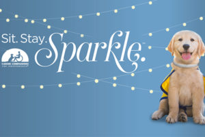 Sit Stay Sparkle logo and Canine Companions puppy