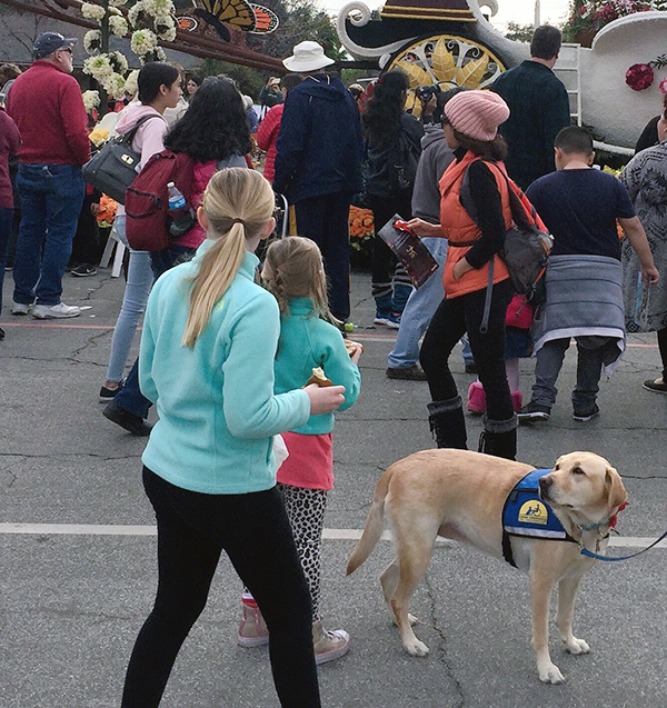 Service dog Flo with little girl and mom in the street