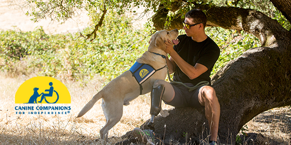 Canine Companions service dog with person who is sitting on a fallen tree