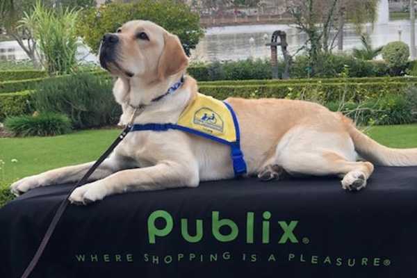 Canine Companions puppy sitting on table with Publix sign