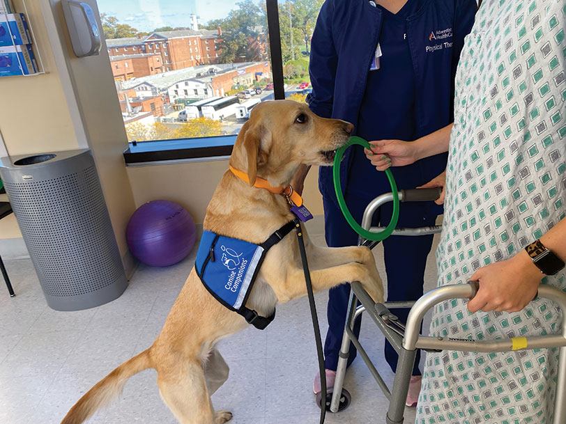 Canine Companions facility dog works with patients