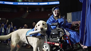 a young woman in an electric wheelchair in cap and gown smiling holding a leash attached to a Labrador who is wearing a blue vest and holding a rolled-up paper in his mouth; crowd cheering in the background