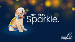 Sit Stay Sparkle logo and puppy