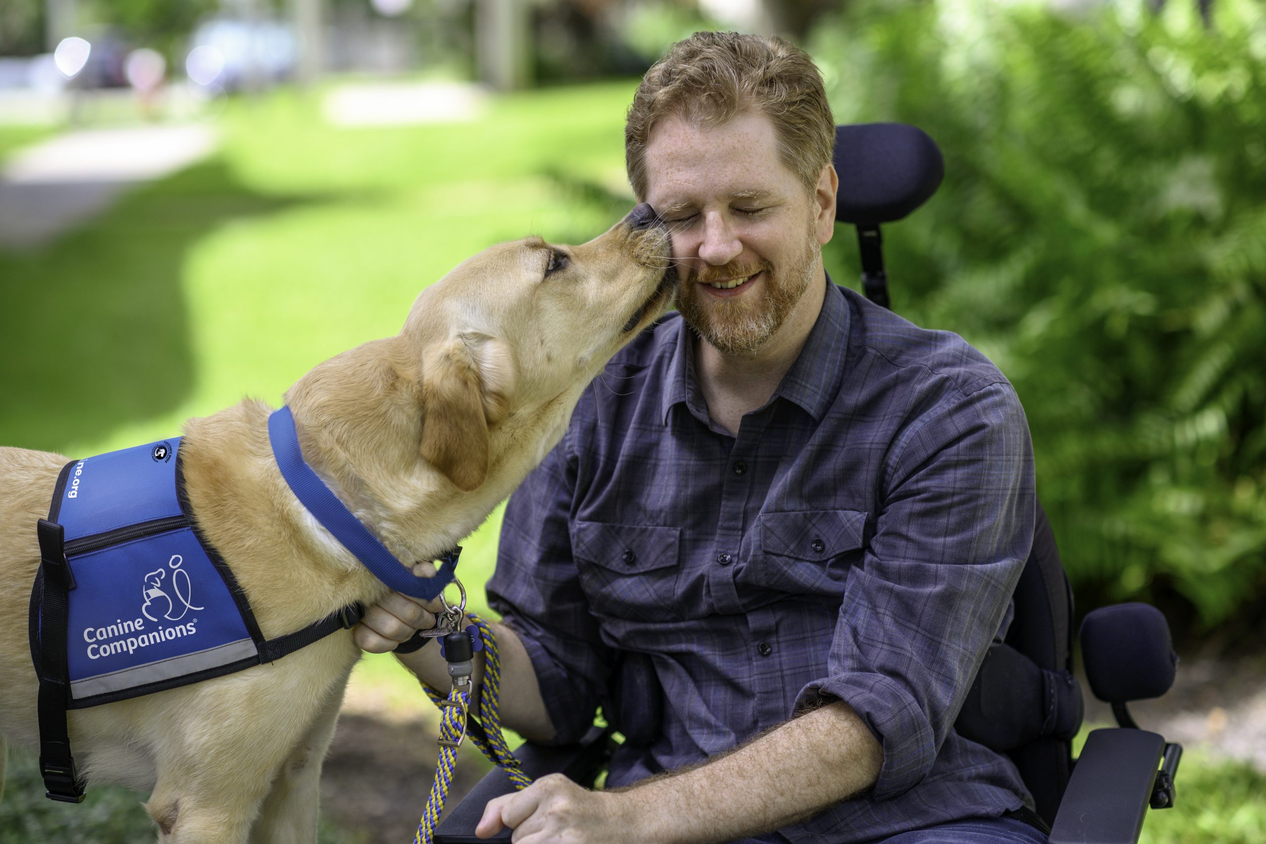 at what age do guide dogs start training