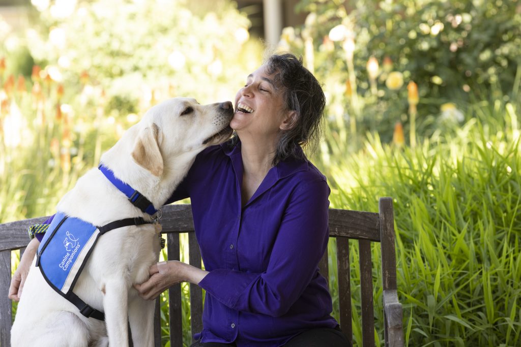 woman wearing purple button up shirt sitting on a bench and petting Canine Companion service dog on the chest