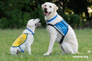 Share Your Support Of Canine Companions - Canine Companions