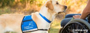 Share Your Support Of Canine Companions - Canine Companions