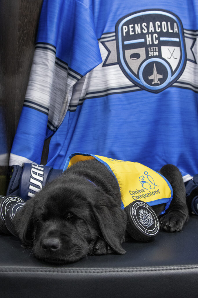 dog with ice flyers jersey and puck