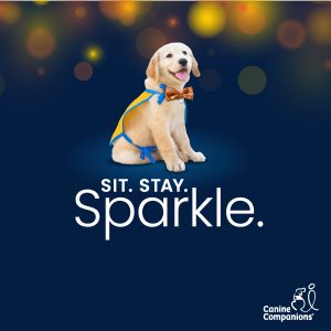 Sit Stay Sparkle image with 2021 puppy