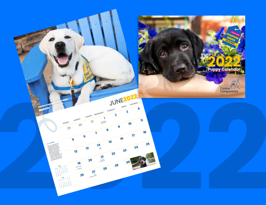 image showing the 2022 canine companions puppy calendar
