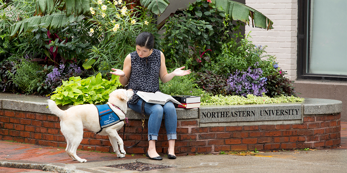 Beyond "Dog": Uncovering the Diverse Aboriginal Words for Canine Companions