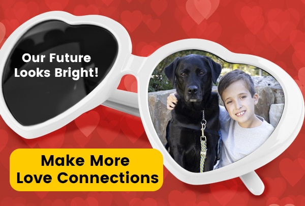 white heart glasses on a heart background with a boy hugging a black lab. text: make more love connections, donate now