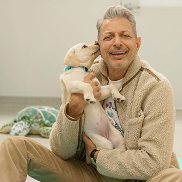 Jeff Goldblum sitting and holding a white lab puppy in his arms and smiling