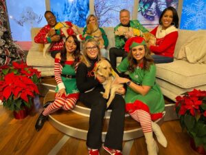 CBS Pittsburgh TV station crew sitting on the couch and floor holding Canine Companions puppies.