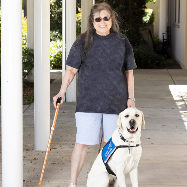 Yellow lab in blue service vest sitting down with a woman with a cane