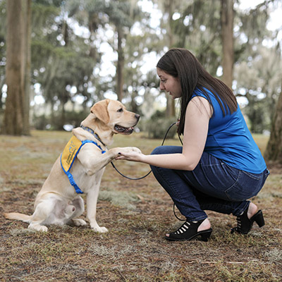 A woman in a blue shirt crouches next to a yellow Labrador in a yellow service dog vest in the woods. The woman holds the dog's paw.