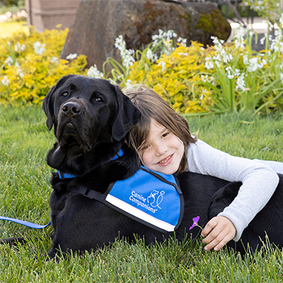 A young smilling girl laying on top of a black lab in a service vest