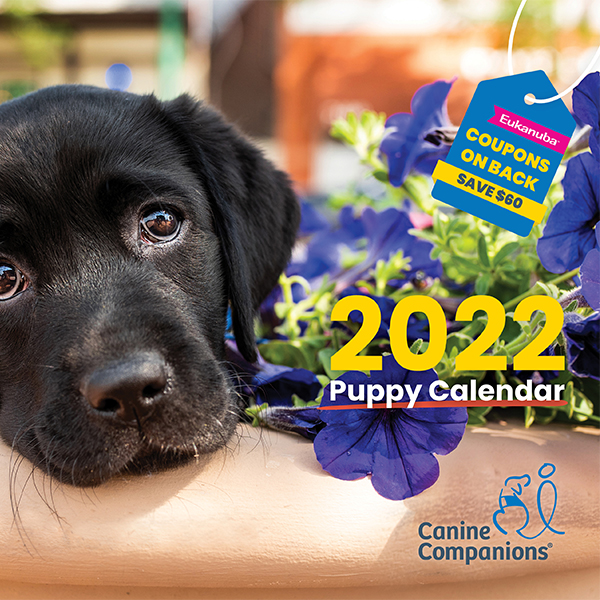 Image of the 2022 puppy calendar cover