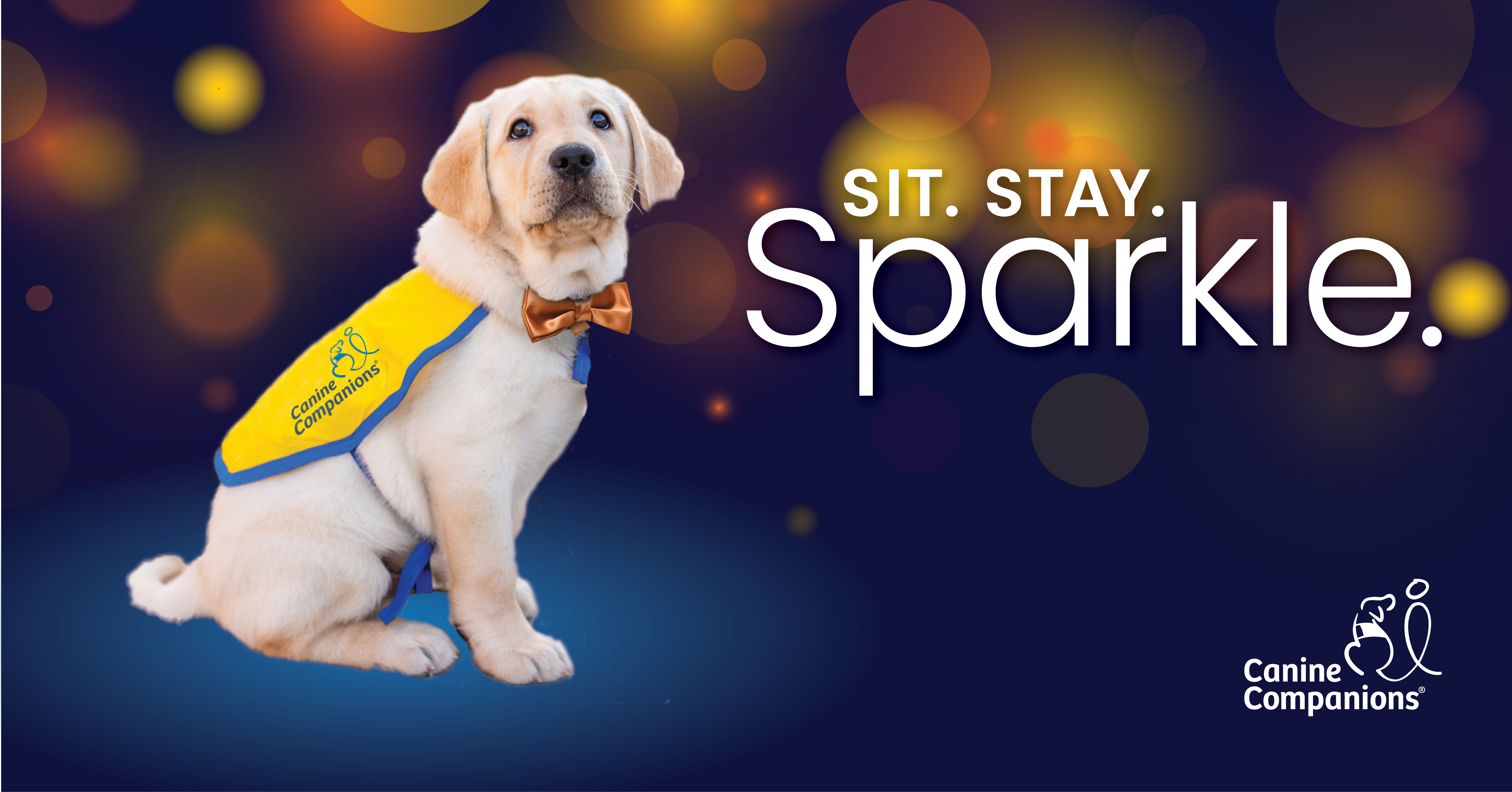 Sit Stay Sparkle logo and Canine Companions puppy