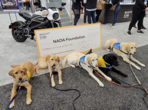 Service dogs seating in front of NADA Foundation check at NADA show 2022