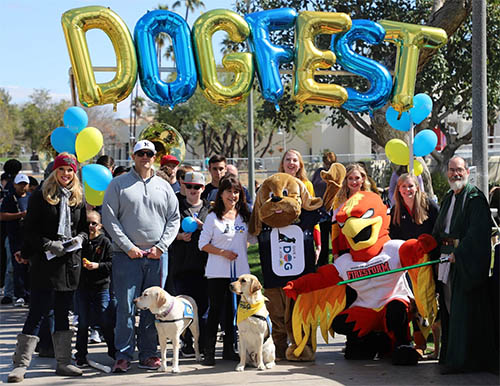 A crowd of people with service dogs under a DogFest sign made out of letter balloons