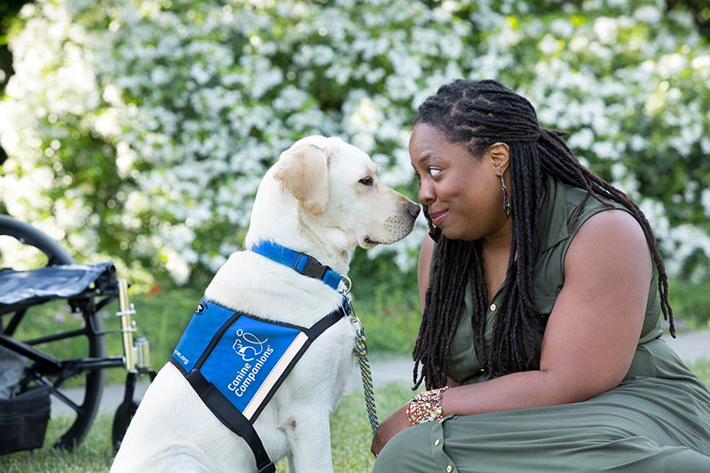 african american woman sitting looking into the eyes of a sitting yellow lab service dog in a blue vest