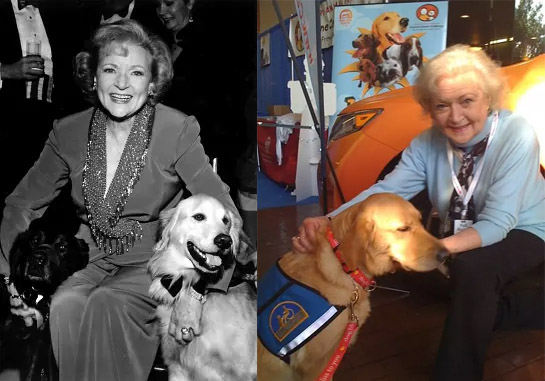 Black and white photo of Betty White in 1992 with a Golden retriever, and a color recent photo of Betty White next to a Golden Retriever