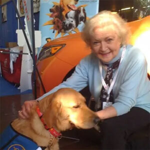 Betty White kneeling down next to a Golden Retriever in a blue service vest