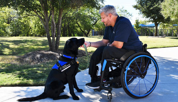 Service dog with man in wheelchair