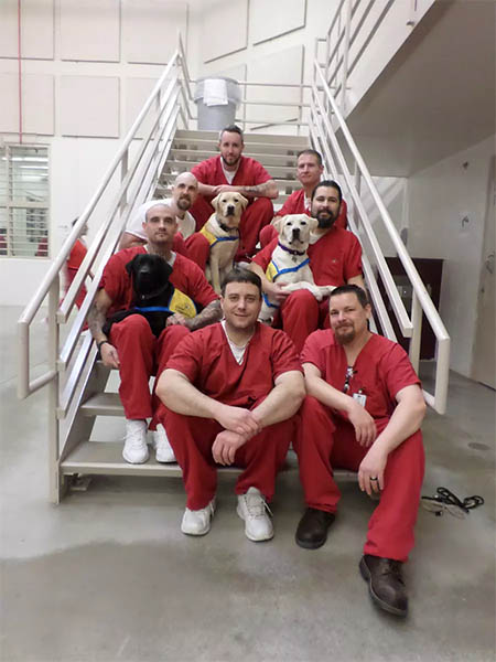Seven men sitting on the stairs inside a correctional facility and wearing prison garbs, holding three Labrador puppies