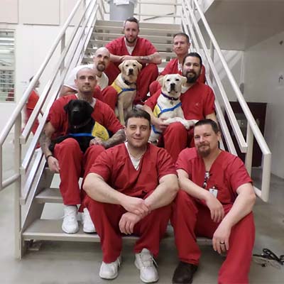 Seven men sitting on the stairs inside a correctional facility and wearing prison garbs, holding three Labrador puppies