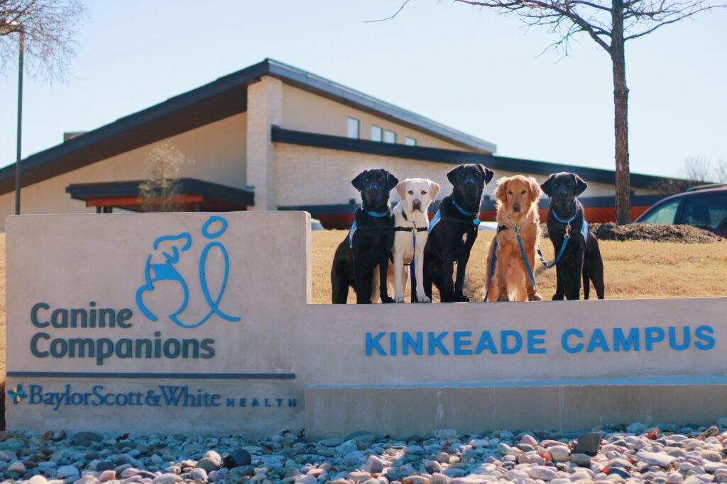 A group of dogs standing on the Kinkeade Campus sign