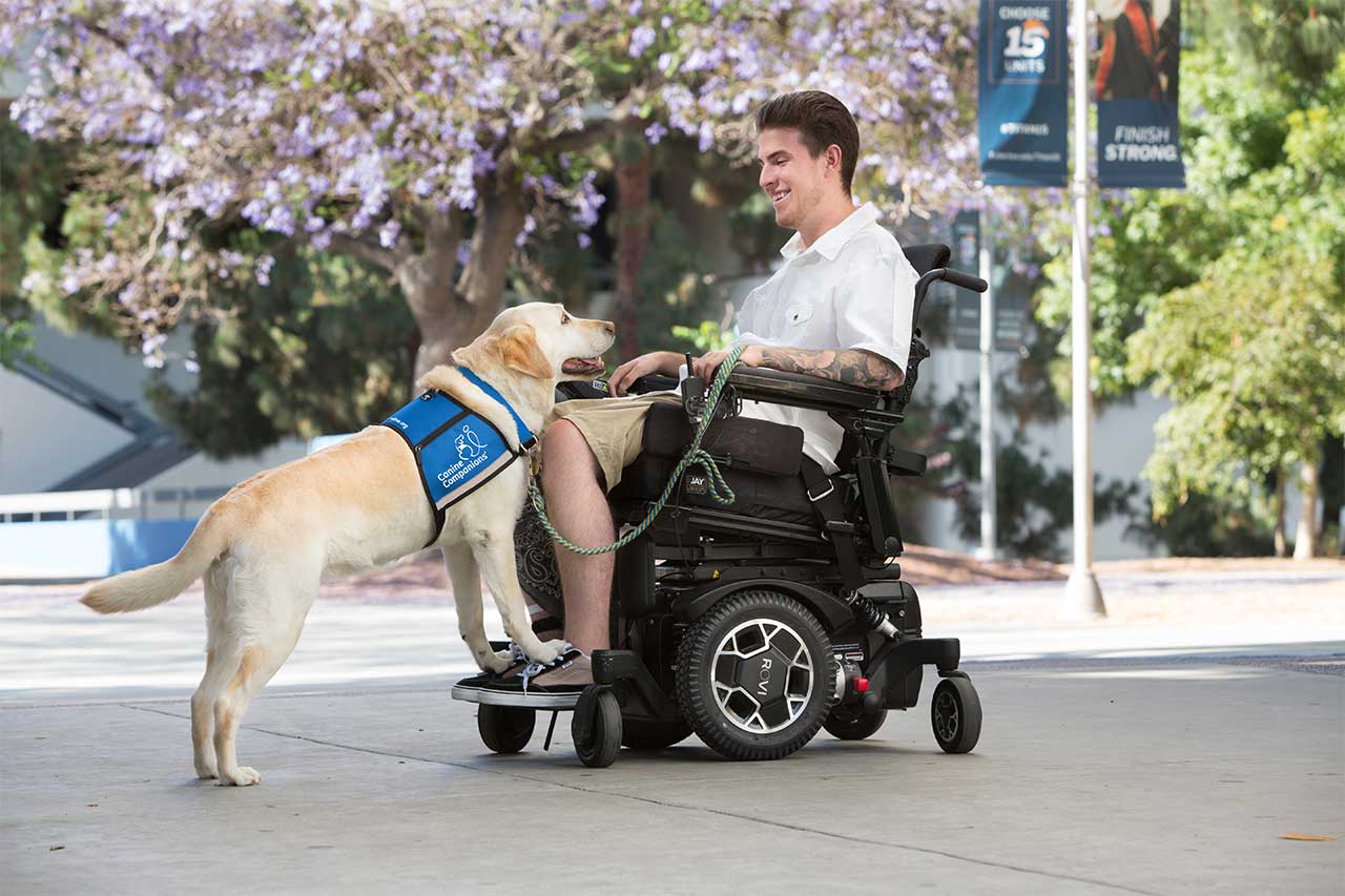 Service dog in blue vest standing on the feet of a man sitting in a motorized wheelchair