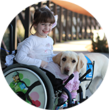 young girl in a wheelchair sits with a yellow lab in blue vest putting its head on her lap