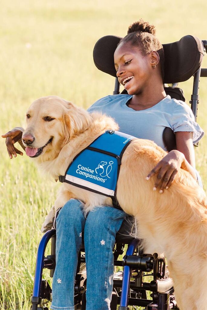 Young girl sitting in motorized wheelchair smiles at her yellow lab service dog wearing a blue vest laying across her lap